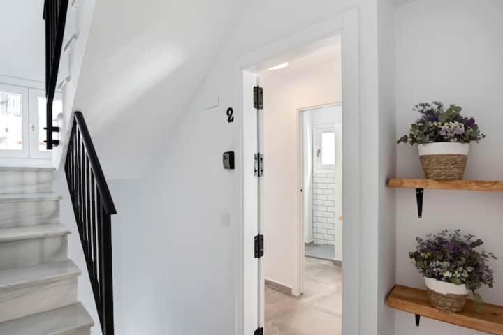 Apartamentos Vexer Vejer de la Frontera Eksteriør billede